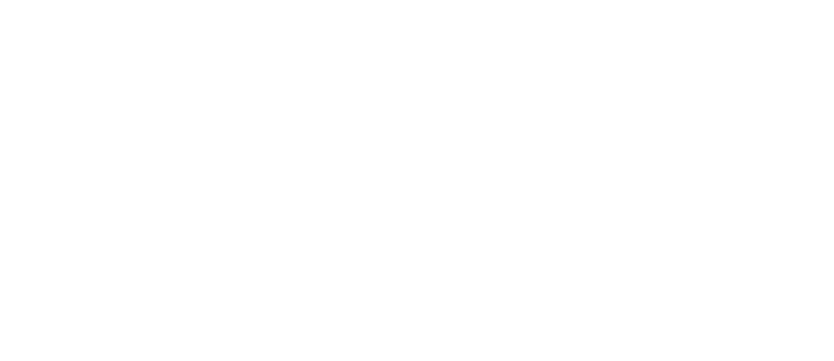 Nina Fae Consulting